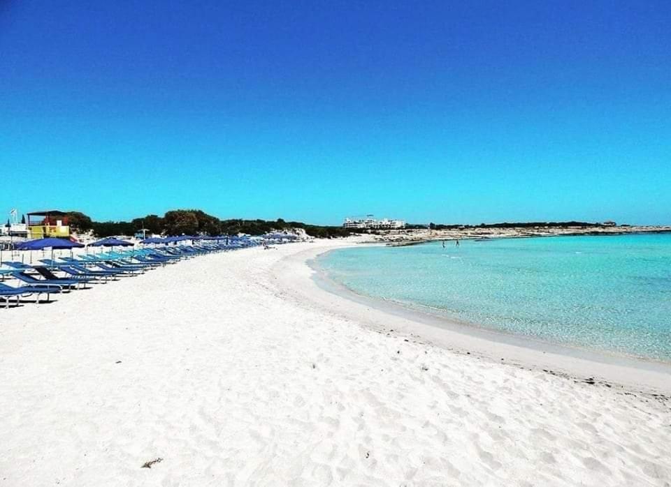 Nissi 3 View Holiday 2 Bedroom Apartment Ayia Napa Bagian luar foto